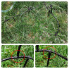 VooGenzek 120 Pièces 4/7mm Kit D'irrigation de Goutte Automatique, 40 Goutteur Irrigation Réglable + 40 Tee-Joint de Tuyau + 40 