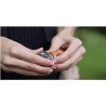 Raccord d'arrosage Aquastop 19 mm (3/4 Pouce) de Gardena : connecteur enfichable avec Aquastop, pour extrémité de tuyau, Powergr