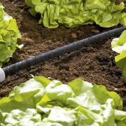 Gardena Tuyau d'arrosage micro-poreux: arrosage à économie d'eau pour les rangées de plantations, économie d'eau jusqu'à 70 pour