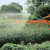 Fusil-arrosoir grand débit de Gardena : lance de jardin pour un débit d'eau élevé, jet d'eau réglable, longueur 92 cm (2849-20)