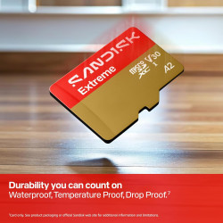 SANDISK Extreme Carte microSDHC UHS-I + SD Adapter, 256 Go (Jusqu’à 245 Mo/s en Lecture et 170 Mo/s en écriture, vidéo 5.3K, C10