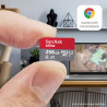 SanDisk Ultra 64 Go microSDXC UHS-I carte pour Chromebook avec adaptateur SD et jusqu'à 140 Mo/s en vitesse de transfert, A1 App