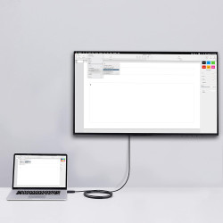 Amazon Basics Câble HDMI (source) vers (affichage) VGA - NON bidirectionnel - plaqué or, 6 feet, noir