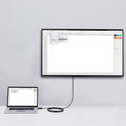 Amazon Basics Câble HDMI (source) vers (affichage) VGA - NON bidirectionnel - plaqué or, 6 feet, noir (Lot de 2)
