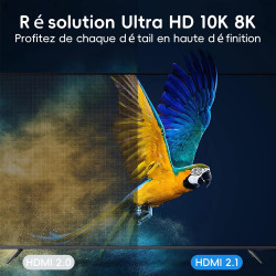 Câble HDMI 8K 2m,Cable HDMI 2.1 8K@60Hz 4K@120Hz 7680P Ultra Haute Vitesse Supporte HDR10 3D eARC HDCP2.2&2.3,Compatible avec PS