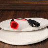 EMSea 2 Adaptateurs de Chargeur de Batterie Compatible avec Ducati Prise de Diagnostic DDA pour Motos
