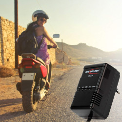 ANSMANN ALCS 2 - 24A Chargeur pour batteries au plomb (1 pce) – Station de recharge pour batteries de voiture, moto, bateau, ton