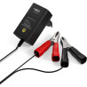 ANSMANN ALCS 2 - 12A Chargeur pour batteries au plomb (1 pce) – Station de recharge pour batteries de voiture, moto, bateau, ton