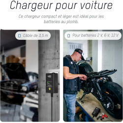ANSMANN ALCS 2 - 12A Chargeur pour batteries au plomb (1 pce) – Station de recharge pour batteries de voiture, moto, bateau, ton