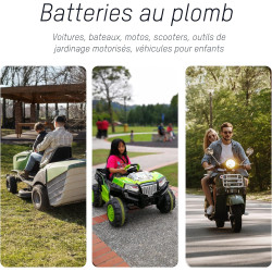 ANSMANN ALCS 2 - 12A Chargeur pour batteries au plomb (1 pce) – Station de recharge pour batteries de voiture, moto, bateau, ton