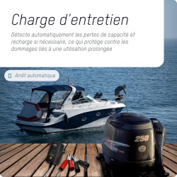 ANSMANN ALCS 2 - 12A Chargeur pour batteries au plomb (1 pce) – Station de recharge pour batteries de voiture, moto, bateau, ton