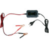 Dunlop Chargeur Goutte 6/12V 1A - Voiture avec Cycle de Charge en 6 étapes - pour Scooter et Moteur - Court-Circuit - d'entretie