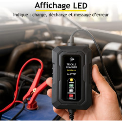Dunlop Chargeur Goutte 6/12V 1A - Voiture avec Cycle de Charge en 6 étapes - pour Scooter et Moteur - Court-Circuit - d'entretie