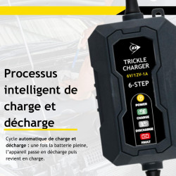 Dunlop Chargeur Goutte 6/12V 1A - Voiture avec Cycle de Charge en 6 étapes - pour Scooter et Moteur - Court-Circuit - d'entretie