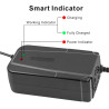Chargeur de Batterie Plomb 36V 3A pour GT GT750 IZIP I600 e-Bike Kart (ne Convient Pas aux Batteries Lithium-ION)