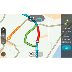 TomTom GO 40 (4.3 Pouces) Europe 48 Cartographie et Trafic à Vie (1FC4.002.01)