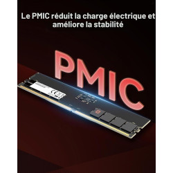Lexar UDIMM RAM DDR5 32Go 5600 MHz, 288-Pin DDR5 UDIMM PC, DRAM Jeu Haute Performance U-DIMM Mémoire RAM pour Ordinateur/PC/Comp