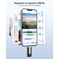 GNASEET Cle USB 256 Go, Clé USB 3.0 Transfert Grande Vitesse, 4 en 1 Clef USB Photo Stick Mémoire Externe pour iOS, Android, Pad