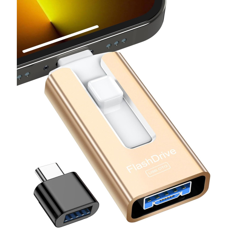 GNASEET Cle USB 256 Go, Clé USB 3.0 Transfert Grande Vitesse, 4 en 1 Clef USB Photo Stick Mémoire Externe pour iOS, Android, Pad