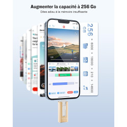 GNASEET Cle USB 256 Go, Clé USB 3.0 Transfert Grande Vitesse, 4 en 1 Clef USB Photo Stick Mémoire Externe pour iOS, Android, Pad