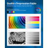 305XL Cartouches Noir et Couleur-1200 Pages,Compatible avec Cartouche HP 305 pour DeskJet 2800e/ 2810e/ 2820e/ 2700/ 2710e/ 2720