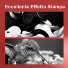 545XL Cartouches d'encre de Remplacement pour Canon 545 XL PG 545 PG-545 XL Multipack pour MX490 MX495 MG2550s MG2550 TS3150 TS3
