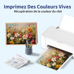 XP-2200 Couleur Cartouche d'encre Compatible pour Epson Expression Home XP-2205 XP-4200 XP-4205 XP-3200 XP-3205 Workforce WF-293
