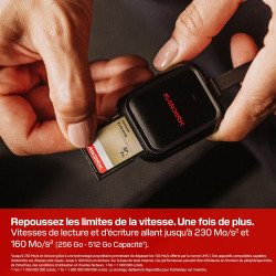 SANDISK Extreme Carte SD UHS-I 128 Go (Jusqu’à 230 Mo/s en Lecture et 120 Mo/s en écriture, vidéo 4K UHD, U3, V30) SANDISK Memor
