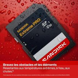 SANDISK Extreme Pro Carte SD UHS-I de 1 to (Jusqu’à 250 Mo/s en Lecture et Jusqu’à 170 Mo/s en écriture, vidéo 4K UHD, U3, V30) 