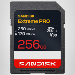SANDISK Extreme Pro Carte SD UHS-I de 1 to (Jusqu’à 250 Mo/s en Lecture et Jusqu’à 170 Mo/s en écriture, vidéo 4K UHD, U3, V30) 
