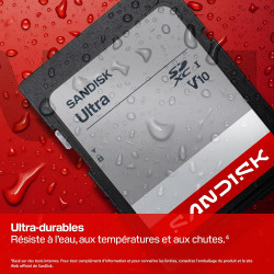 SANDISK Ultra Carte SDXC UHS-I 256 Go (Jusqu’à 195 Mo/s en Lecture, vidéo Full HD, V10, U1, C10) SANDISK Memory Zone App