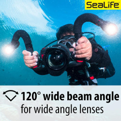 Sealife Sea Dragon 2500F Lampe Photo et vidéo Taupe (SL671)
