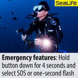 Sealife Sea Dragon 2500F Lampe Photo et vidéo Taupe (SL671)