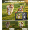 Appareil Photo Numérique 50MP 1080P, Compact Appareil Photo avec Carte 32Go, Écran 2,4”, Zoom Numérique 16X, Mini Camera Vlog po