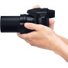 Panasonic Lumix FZ82D Appareil Photo Bridge Zoom Puissant (Capteur 18MP, Zoom Lumix 60x F2.8-5.9, Grand Angle 20mm, Viseur OLED,
