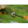 Sony Alpha 6700 | Appareil Photo Hybride APS-C (26Mp BSI, Mise au Point AF basée sur l'IA, stabilisation d'image sur 5 Axes, Écr