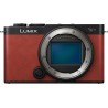 Panasonic Lumix S9 | Appareil Photo Hybride Plein Format (24MP, Autofocus Phase, Double Stabilisation, 6K Open Gate, Rafale AFC 