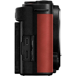 Panasonic Lumix S9 | Appareil Photo Hybride Plein Format (24MP, Autofocus Phase, Double Stabilisation, 6K Open Gate, Rafale AFC 