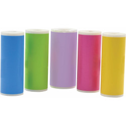 Lexibook, StarCAM Print, Pack de Recharge pour Appareil Photo instantané DJ150, 10 Rouleaux Autocollants (5 Blancs, 5 colorés: V
