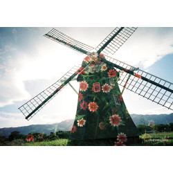 Kodak Snapic A1 – Appareil Photo Argentique 35mm Réutilisable avec Objectif en Verre à 3 Éléments, Grand Angle 25mm, Mise au Poi