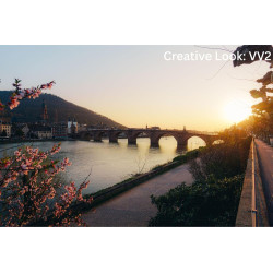 Sony ZV-1 II, Appareil Photo Vlog numérique - écran orientable pour Le vlogging - Objectif Zoom Grand Angle - vidéo 4K - Microph
