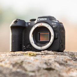 Canon eos r7 (boîtier) - appareil photo hybride - capteur aps-c 32,5 mp, autofocus cmos dual pixel ii - appareil photo numérique