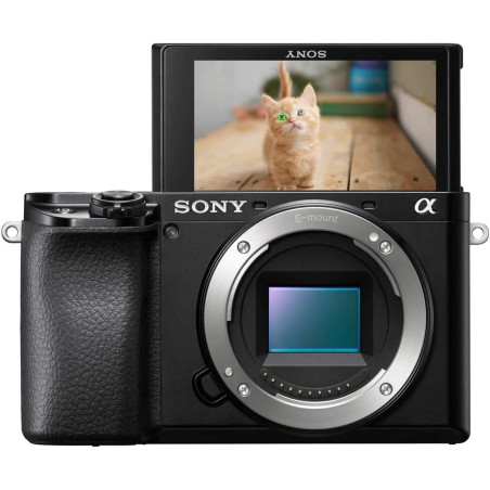 Sony Alpha 6100 | Appareil Photo Numérique Hybride APS-C (24, 2 MP, AF en 0.02s, Suivi des Yeux Humains et Animaux, Vidéo 4K, Ec