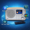 Ferguson regent i101 radio internet wi-fi avec bleutooth fm/dab/dab+ radio fm, radio-réveil, égaliseur, écran couleur, usb, aux 