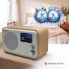 Ferguson regent i101 radio internet wi-fi avec bleutooth fm/dab/dab+ radio fm, radio-réveil, égaliseur, écran couleur, usb, aux 