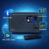Ferguson regent i101 radio internet wi-fi avec bleutooth fm/dab/dab+ radio fm, radio-réveil, égaliseur, écran couleur, usb, aux 
