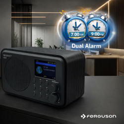Ferguson regent i101 radio internet wi-fi avec bleutooth fm/dab/dab+ radio fm, radio-réveil, égaliseur, écran couleur, usb, aux 