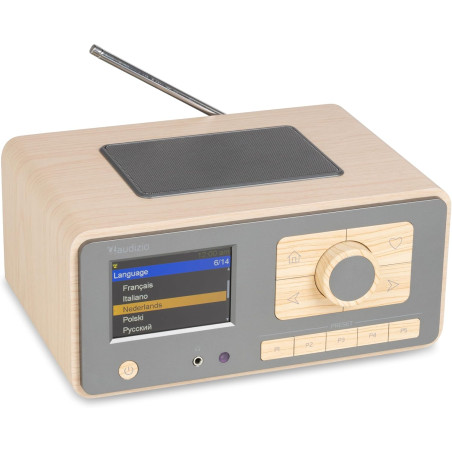 Audizio Dozza Radio Internet WiFi Dab+ FM BT 5.3 40W, Radio Numérique avec Télécommande, Écran Intuitif, Sortie Jack, Design Bam
