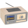 Audizio Dozza Radio Internet WiFi Dab+ FM BT 5.3 40W, Radio Numérique avec Télécommande, Écran Intuitif, Sortie Jack, Design Bam