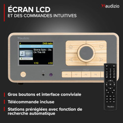 Audizio Dozza Radio Internet WiFi Dab+ FM BT 5.3 40W, Radio Numérique avec Télécommande, Écran Intuitif, Sortie Jack, Design Bam